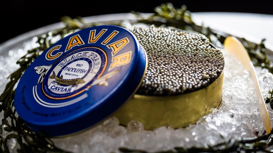 A tin of American paddlefish caviar served on ice