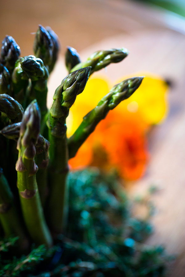 Asparagus and blossoms plated on glass