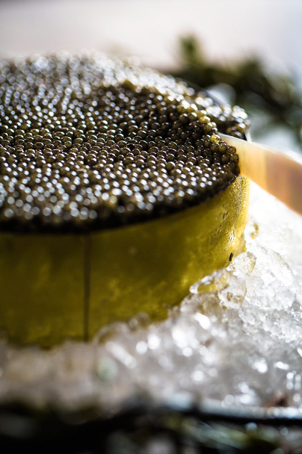 Caviar service on ice