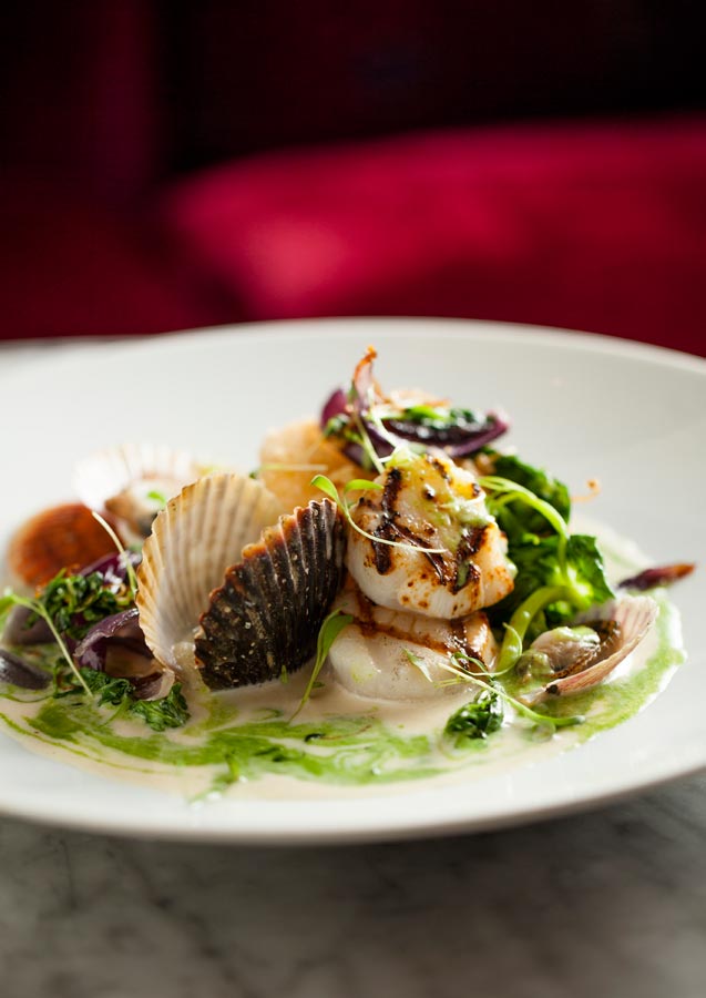 A plated fish course from the Farallon kitchen